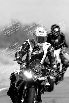 media/Nov-06-2023-Moto Forza (Mon) [[ce023d0744]]/4-Beginner Group/Session 3 (Track Exit)/